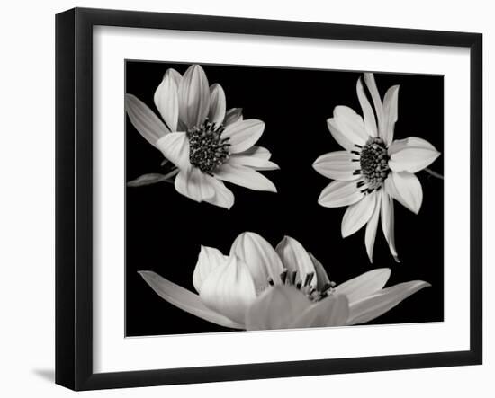 Trio I-Jim Christensen-Framed Photographic Print