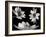 Trio I-Jim Christensen-Framed Photographic Print