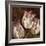 Trio I-Pamela Gladding-Framed Art Print