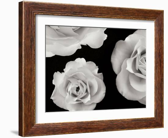 Trio II-Jim Christensen-Framed Photographic Print