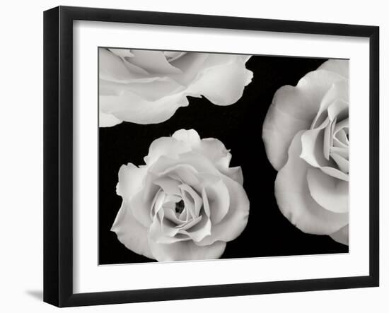 Trio II-Jim Christensen-Framed Photographic Print