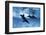 Trio of Dolphins-Amos Nachoum-Framed Photographic Print