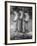 Trio of Otters-null-Framed Photographic Print