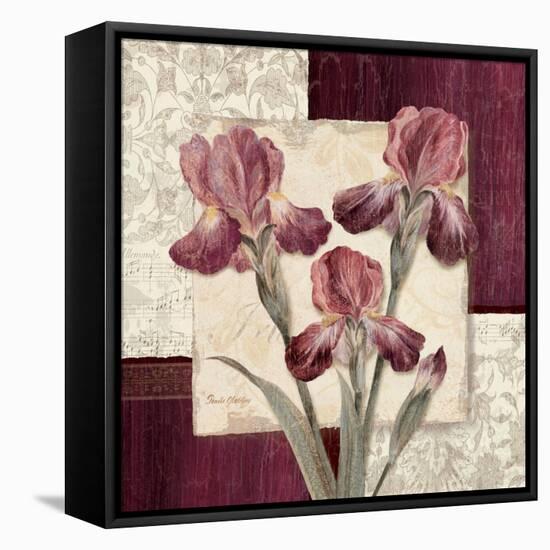 Trio Sonata II-Pamela Gladding-Framed Stretched Canvas