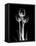 Trio Tulip Xray-Albert Koetsier-Framed Stretched Canvas