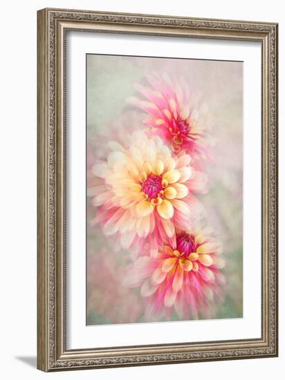 Trio-Jacky Parker-Framed Giclee Print