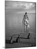 triped Tabby Cats on Beach as Man Goes Into Water to Catch Fish with Net on Society Island-Carl Mydans-Mounted Photographic Print