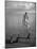 triped Tabby Cats on Beach as Man Goes Into Water to Catch Fish with Net on Society Island-Carl Mydans-Mounted Photographic Print