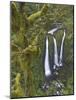 Triple Falls on Oneonta Creek, Columbia River Gorge, Oregon, USA-William Sutton-Mounted Photographic Print