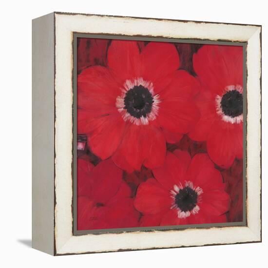 Triple Red Anemone-Ivo-Framed Stretched Canvas