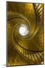 Triple Spiral Staircase of Floating Stairs. Convent of Santo Domingo De Bonaval-Peter Adams-Mounted Photographic Print