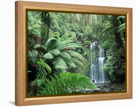 Triplet Falls, Victoria, Australia-Peter Adams-Framed Premier Image Canvas