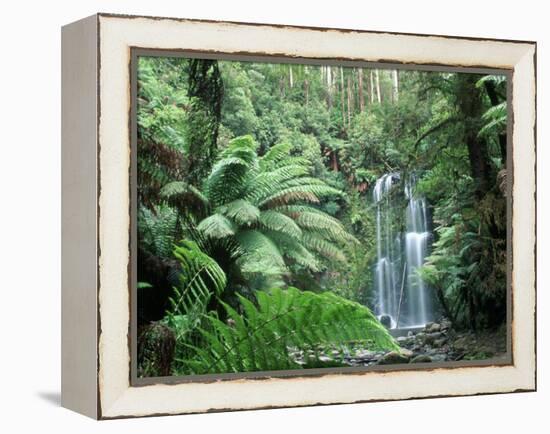 Triplet Falls, Victoria, Australia-Peter Adams-Framed Premier Image Canvas