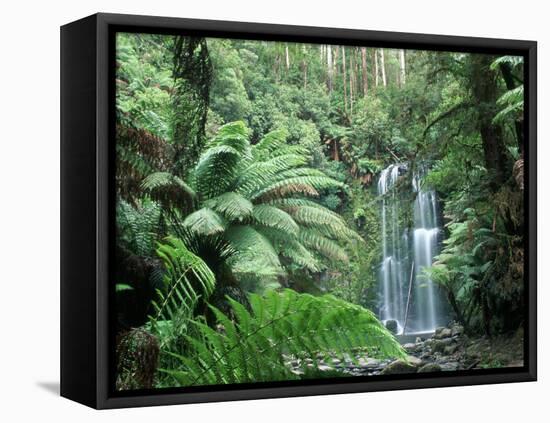 Triplet Falls, Victoria, Australia-Peter Adams-Framed Premier Image Canvas