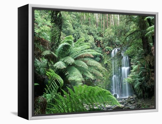 Triplet Falls, Victoria, Australia-Peter Adams-Framed Premier Image Canvas