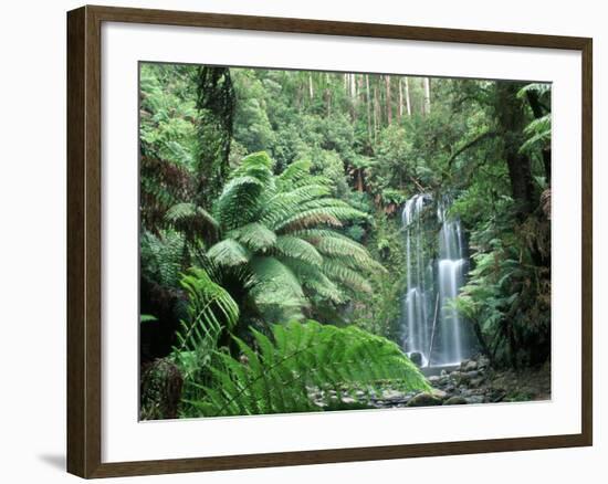 Triplet Falls, Victoria, Australia-Peter Adams-Framed Photographic Print