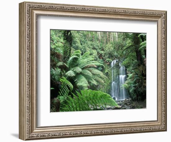 Triplet Falls, Victoria, Australia-Peter Adams-Framed Photographic Print