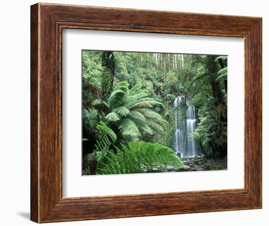 Triplet Falls, Victoria, Australia-Peter Adams-Framed Photographic Print