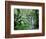 Triplet Falls, Victoria, Australia-Peter Adams-Framed Photographic Print