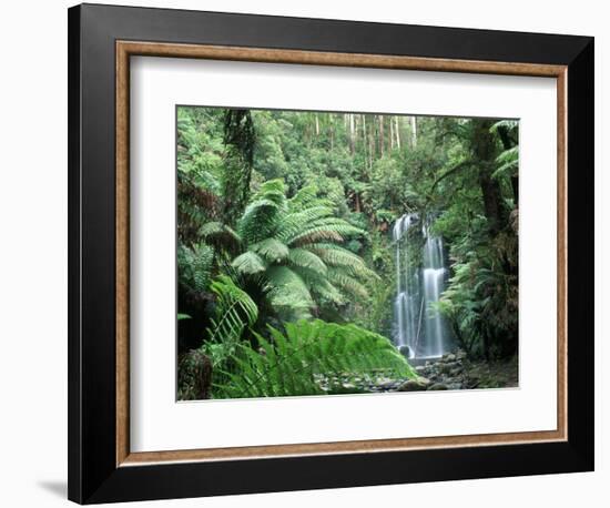 Triplet Falls, Victoria, Australia-Peter Adams-Framed Photographic Print