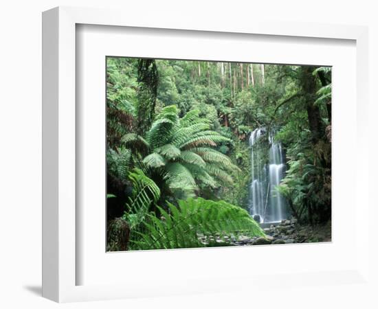 Triplet Falls, Victoria, Australia-Peter Adams-Framed Photographic Print