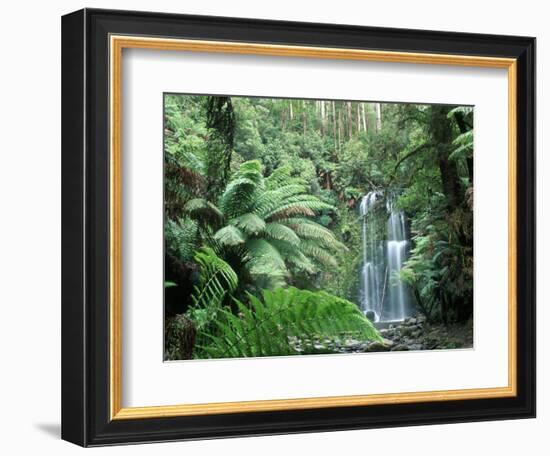 Triplet Falls, Victoria, Australia-Peter Adams-Framed Photographic Print