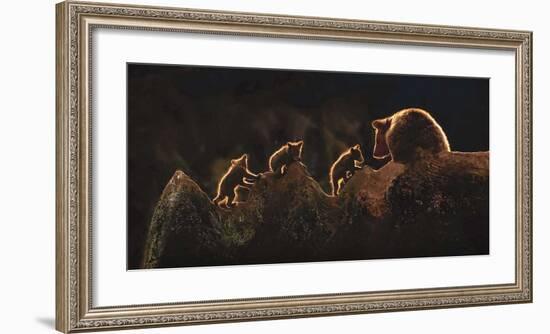 Triplets-Xavier Ortega-Framed Giclee Print