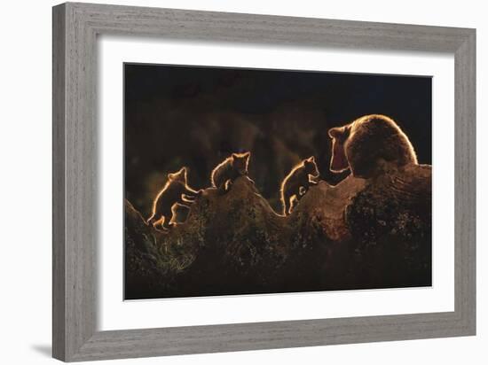 Triplets-Xavier Ortega-Framed Art Print