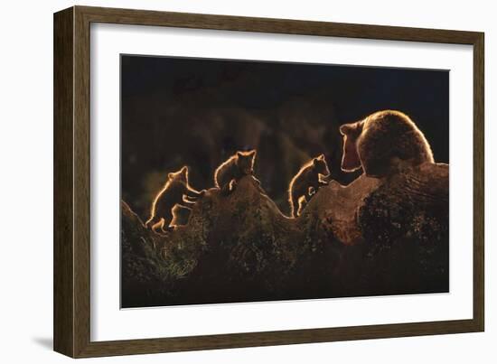 Triplets-Xavier Ortega-Framed Art Print