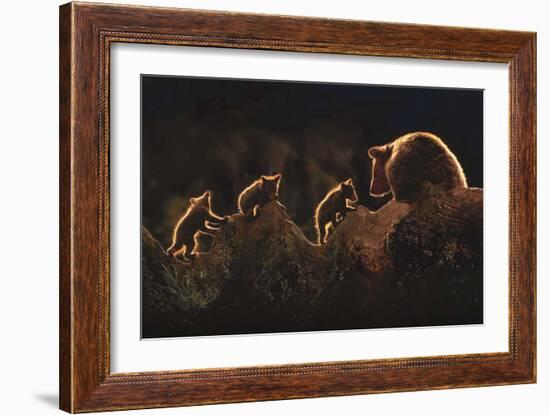 Triplets-Xavier Ortega-Framed Art Print