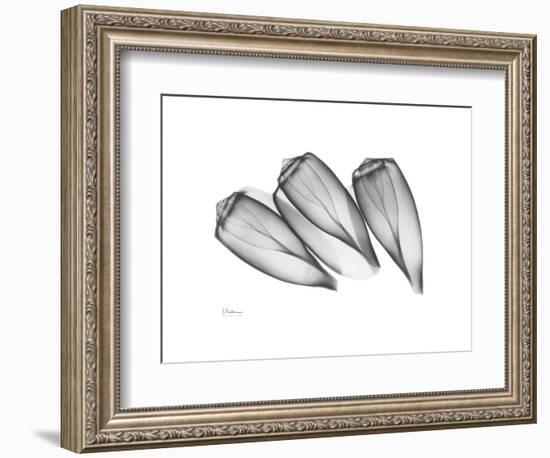 Triplets-Albert Koetsier-Framed Premium Giclee Print