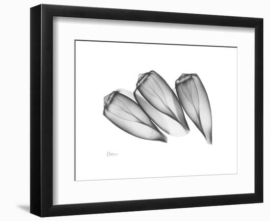 Triplets-Albert Koetsier-Framed Premium Giclee Print