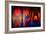 Trippy City-Ursula Abresch-Framed Photographic Print