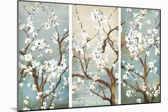 Triptych in Bloom-Asia Jensen-Mounted Art Print