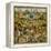 Triptych of the Garden of Earthly Delights, Central Panel-Hieronymus Bosch-Framed Premier Image Canvas