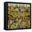 Triptych of the Garden of Earthly Delights, Central Panel-Hieronymus Bosch-Framed Premier Image Canvas