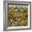 Triptych of the Garden of Earthly Delights, Central Panel-Hieronymus Bosch-Framed Giclee Print