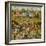 Triptych of the Garden of Earthly Delights, Central Panel-Hieronymus Bosch-Framed Giclee Print