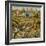 Triptych of the Garden of Earthly Delights, Central Panel-Hieronymus Bosch-Framed Giclee Print