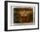 Trisal-Craig Satterlee-Framed Photographic Print