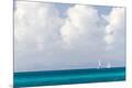 Premium Photographic Print