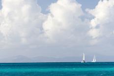 Bvi, Sailboats Navigate Caribbean Sea-Trish Drury-Photographic Print