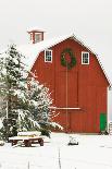 Red Barn in Fresh Snow, Whidbey Island, Washington, USA-Trish Drury-Photographic Print