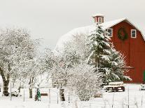 Red Barn in Fresh Snow, Whidbey Island, Washington, USA-Trish Drury-Photographic Print