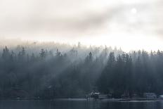 Washington State, Shafts of Morning Light Piercing Fog Make God Rays Through Trees-Trish Drury-Photographic Print