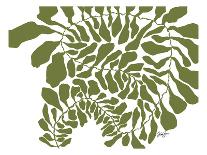 Curly Fern-Trish Sierer-Art Print