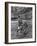 Tristan Da Cunha Island Chef Willie Repetto Riding Donkey-Carl Mydans-Framed Photographic Print