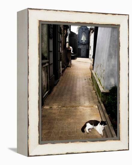 Tristary-Craig Satterlee-Framed Premier Image Canvas