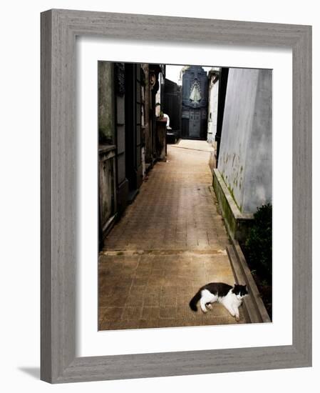 Tristary-Craig Satterlee-Framed Photographic Print