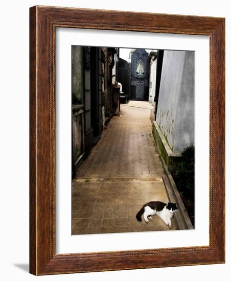 Tristary-Craig Satterlee-Framed Photographic Print